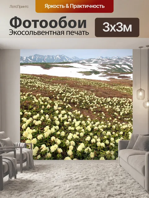 Фотообои Цветы