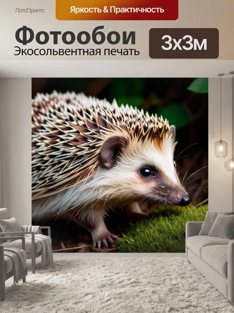 Фотообои с ежиком минимал