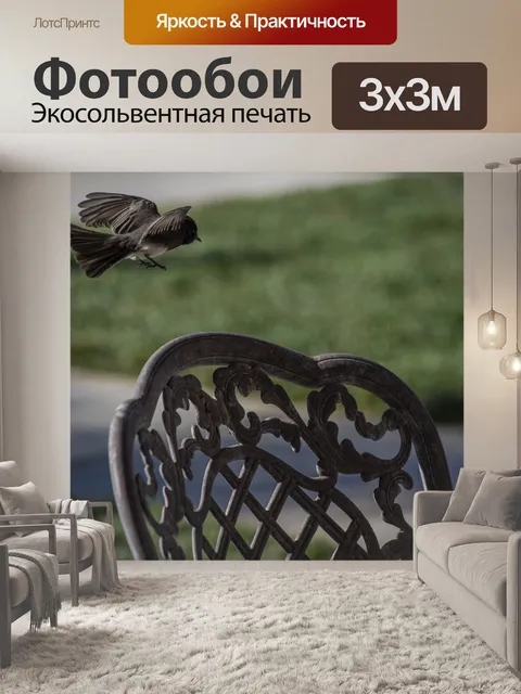 Фотообои Летающая птица юнко