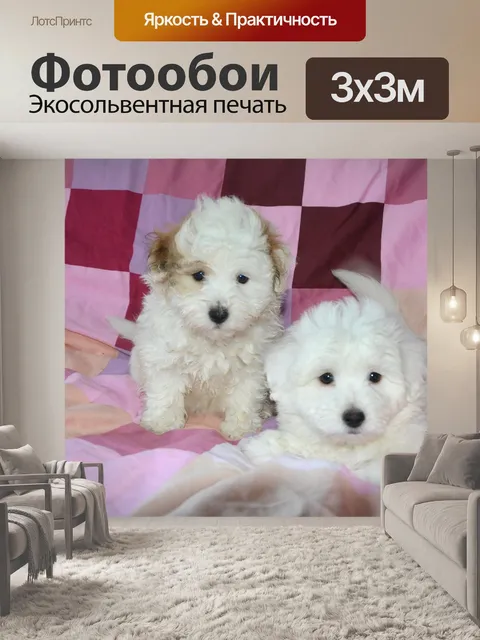 Фотообои Щенки