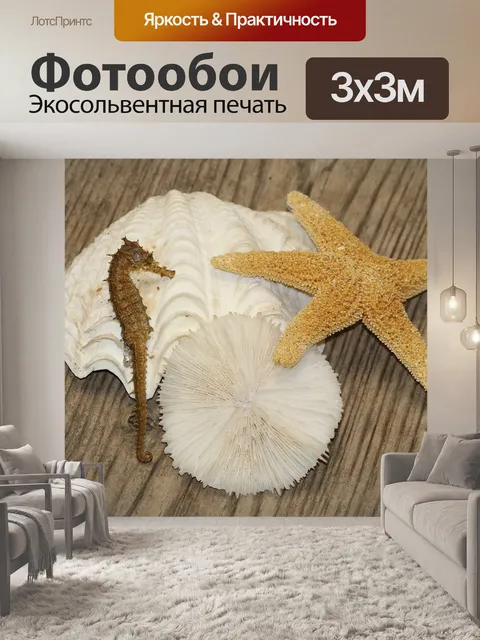 Фотообои Морская звезда и морской конек