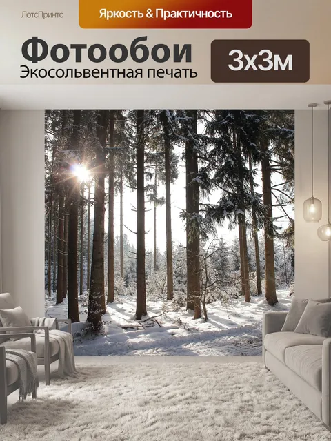 Фотообои Зимнее солнце