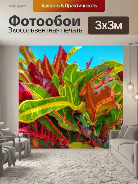 Фотообои садовый кротон