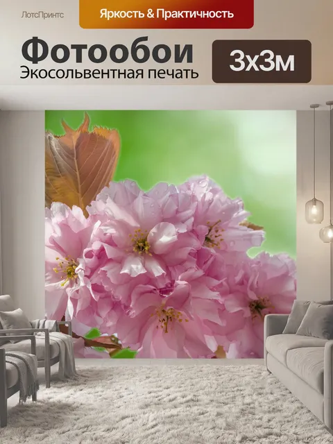 Фотообои Розовый цвет цветы на ветке