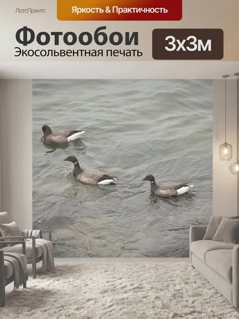 Фотообои Дикие гуси