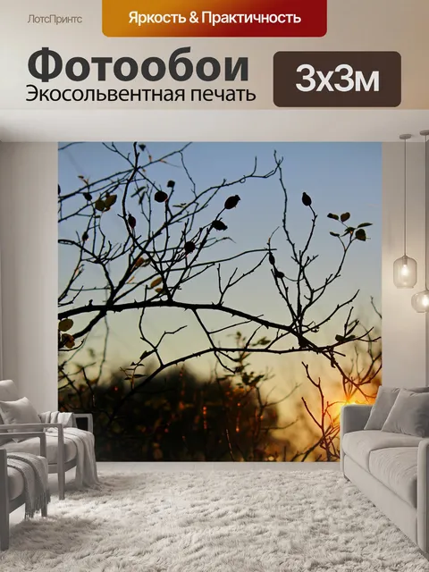 Фотообои Заход солнца