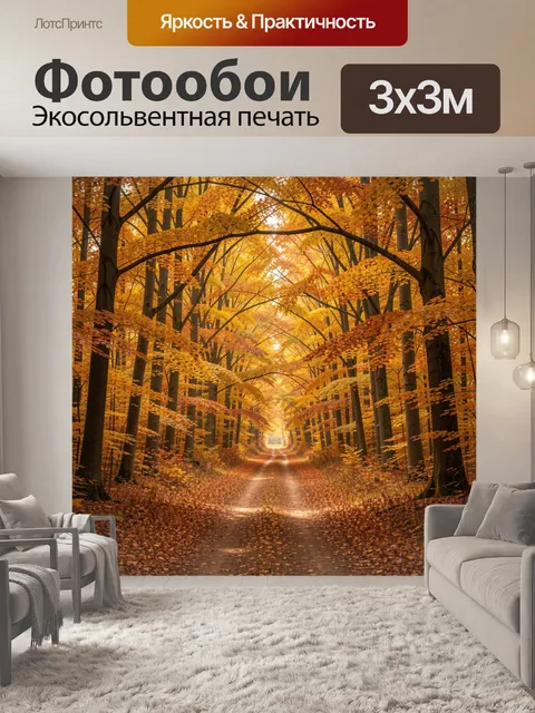 Фотообои Осенний лесной просвет с дорогой