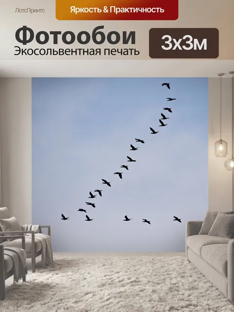 Фотообои Перелетные птицы