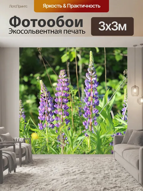 Фотообои люпин