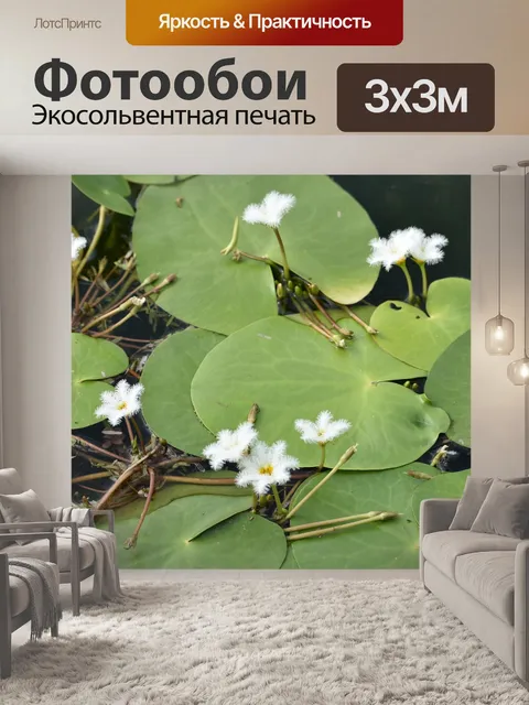 Фотообои Белый лотос