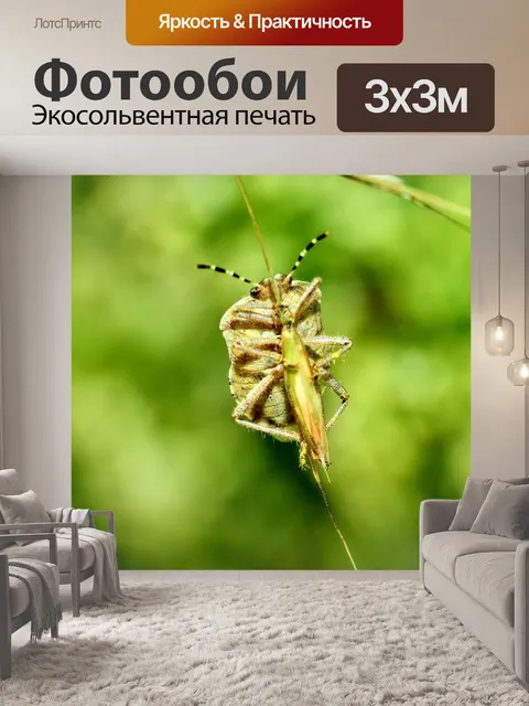 Фотообои Насекомое