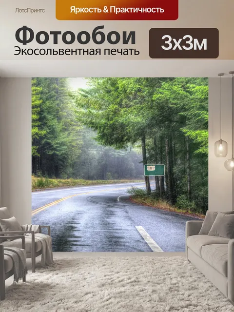 Фотообои Шоссе 101