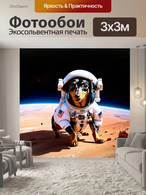 Фотообои такса в костюме космонавта, исследующая планету