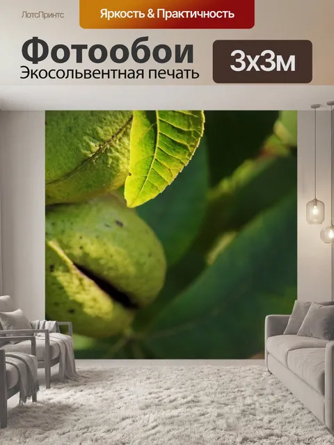 Фотообои лист ореха пекан с зелеными прожилками и