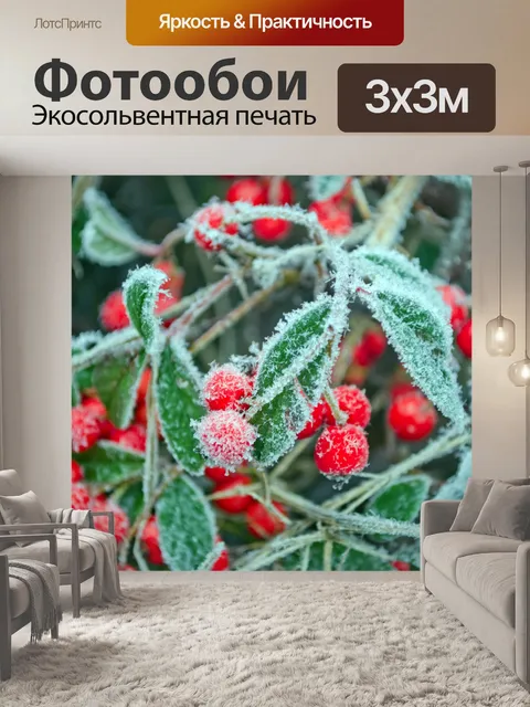 Фотообои Красные ягоды - Мороз