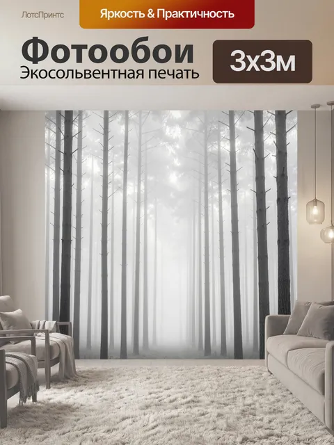 Фотообои Туманный сосновый лес