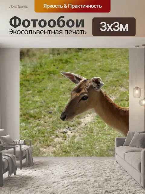 Фотообои Замша