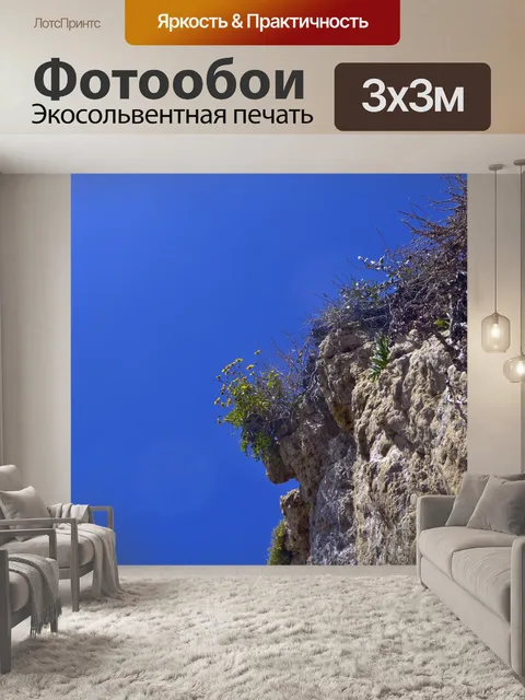 Фотообои Цветы Клиффа