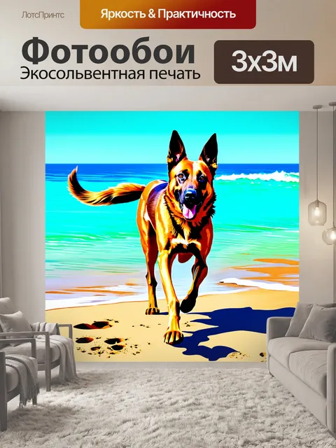 Фотообои бельгийский малинуа, резво бегающий по пляжу, его лапы оставляют следы на песке у воды