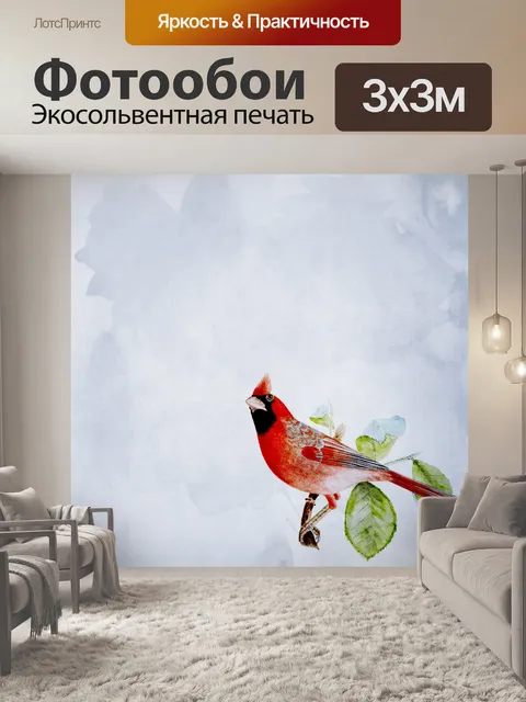 Фотообои Кардинал Птица Фон