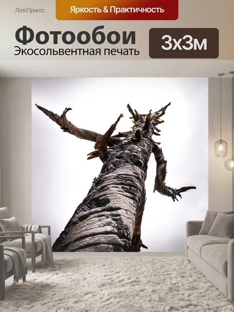 Фотообои Дерево