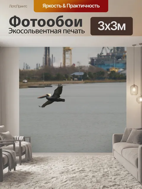 Фотообои Птица над водой