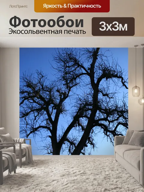 Фотообои Дерево