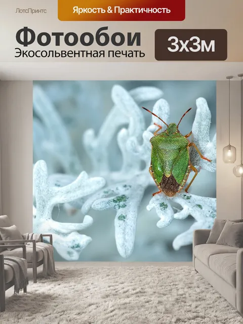 Фотообои Зеленый вонючий жук