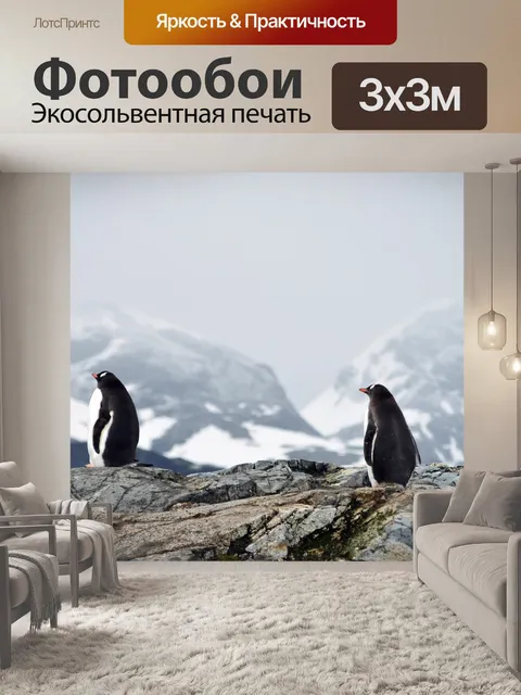 Фотообои Пингвины