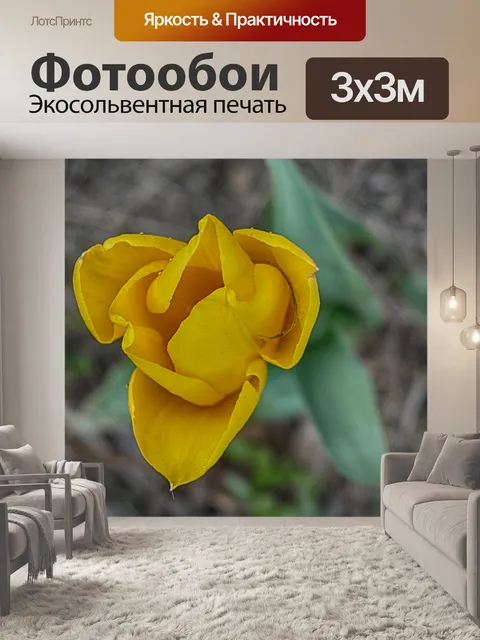 Фотообои Желтый тюльпан