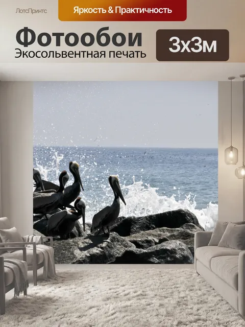 Фотообои Пеликаны и грохот волны
