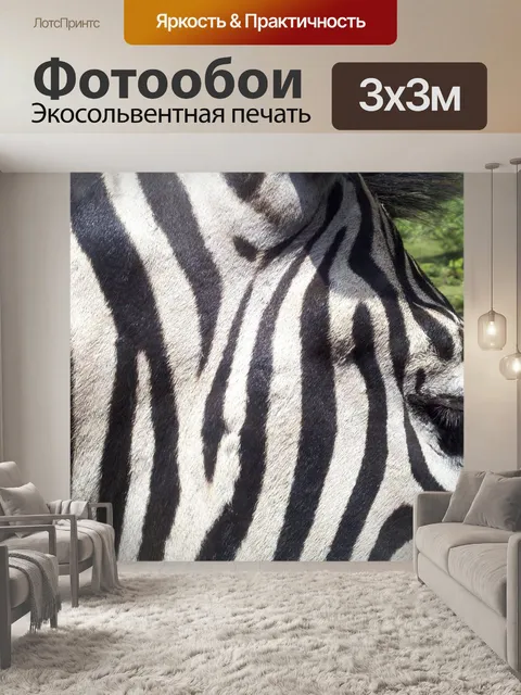 Фотообои Зебра