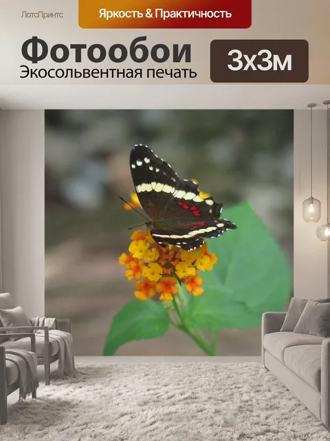 Фотообои Природа