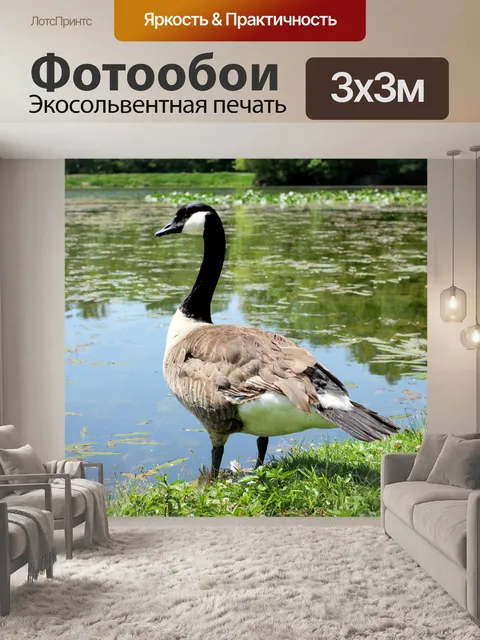 Фотообои Гусь на берегу озера
