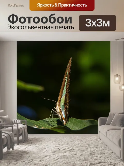 Фотообои Синий треугольник бабочка