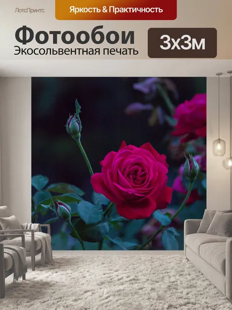 Фотообои Роза