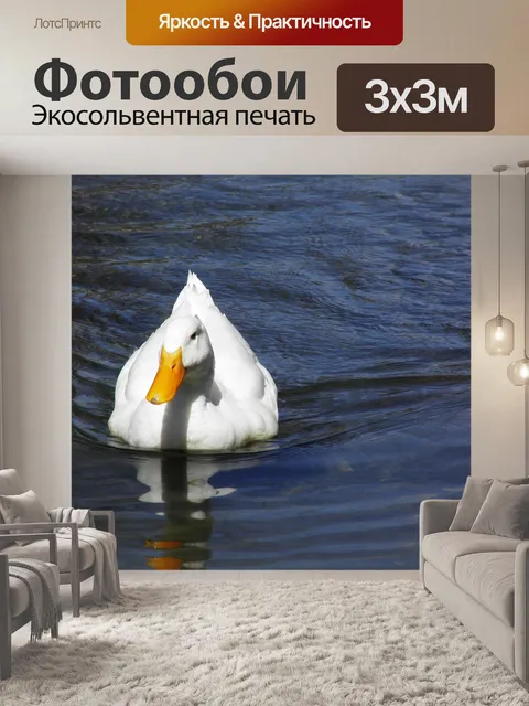 Фотообои Вода