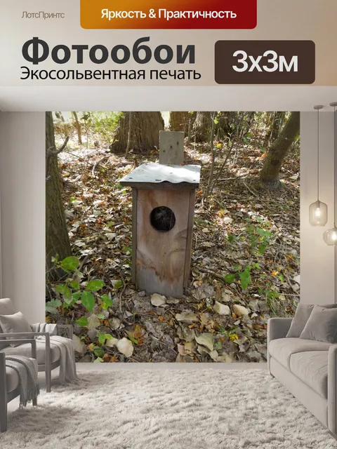 Фотообои Пустой