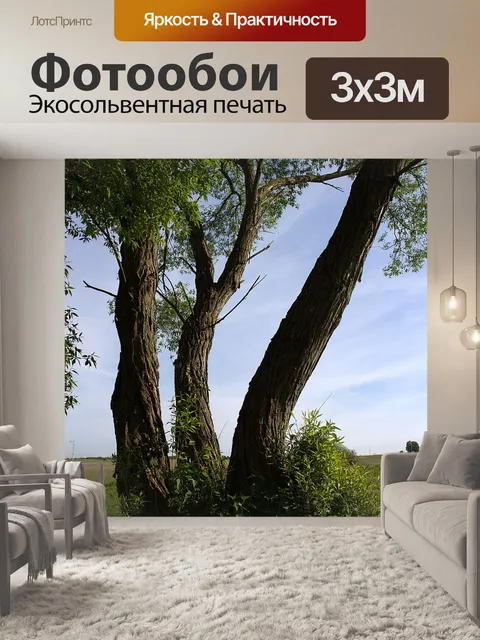 Фотообои Дерево