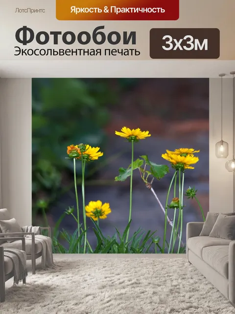 Фотообои ярко-желтые маргаритки