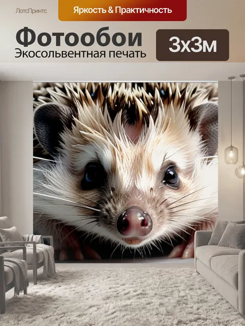 Фотообои с ежиком минимал