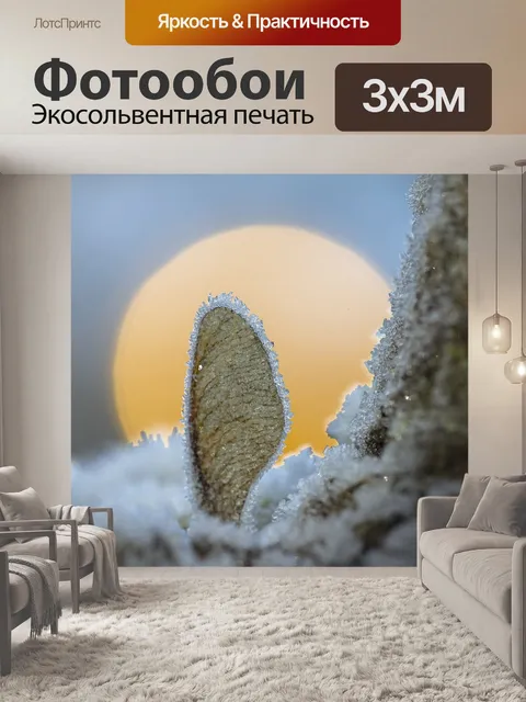 Фотообои Иней