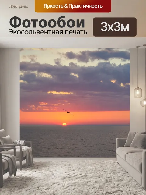 Фотообои Чайка