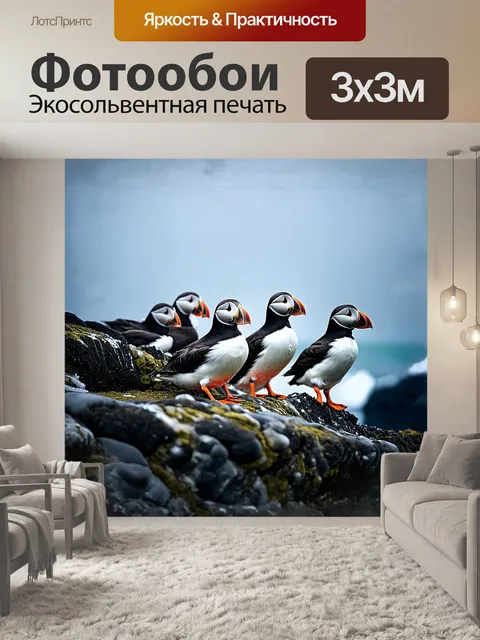 Фотообои на фоне волнующихся морских просторов образовалась колония тупиков