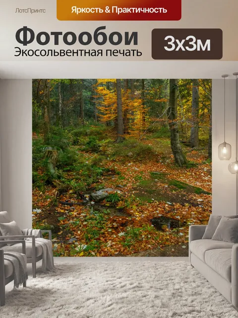 Фотообои Густой лес осенью