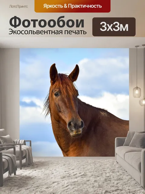 Фотообои Лошадь