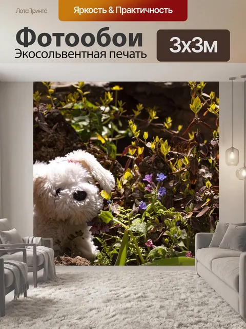 Фотообои Собака