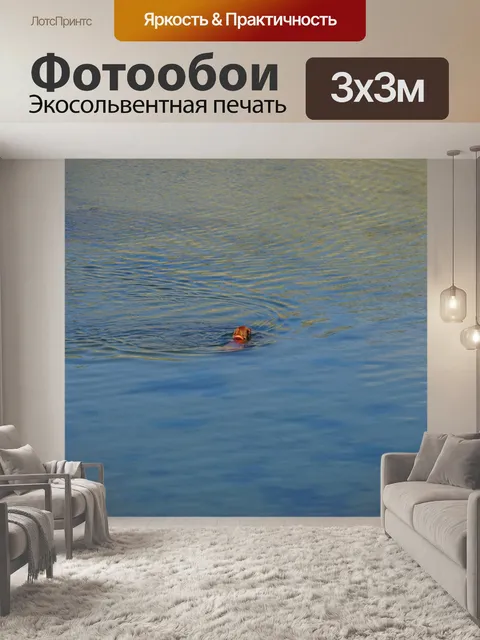 Фотообои Собачья голова из воды