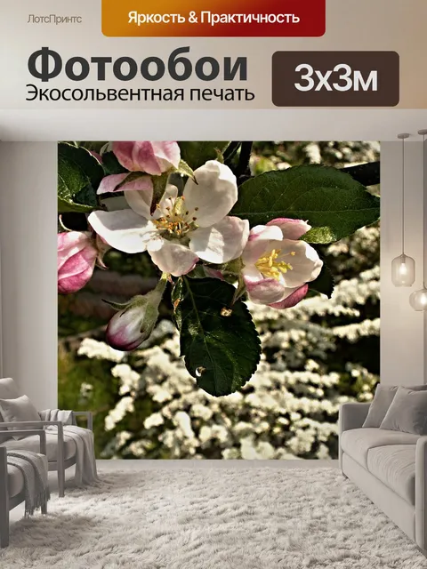 Фотообои Яблоневый цвет