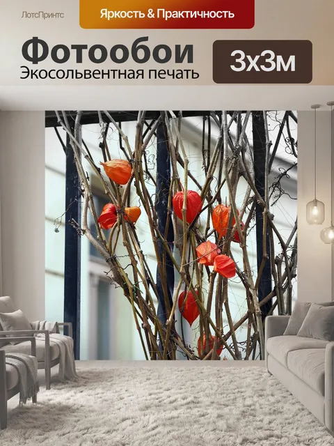 Фотообои Дом